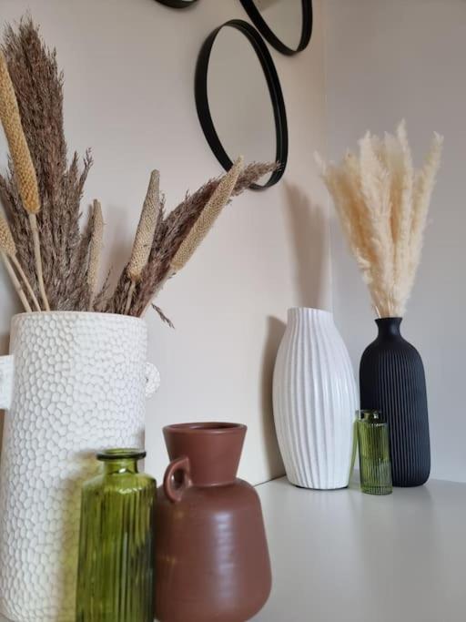 Cosy Confort Des Oliviers Ferienhaus